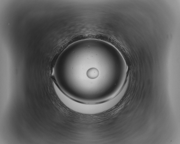 X0000115681348200911191045