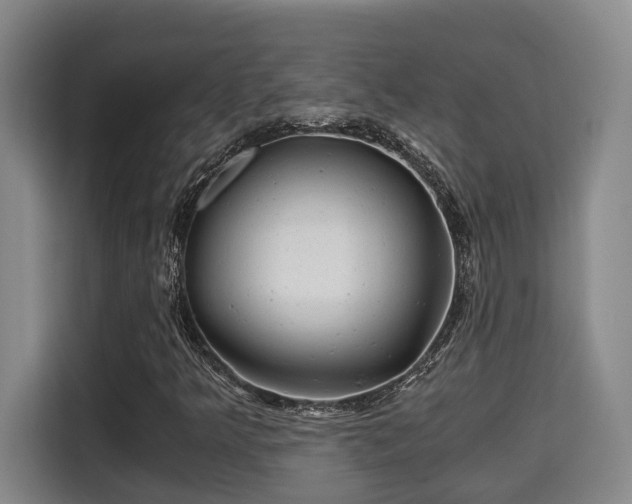 X0000115681349200911191045