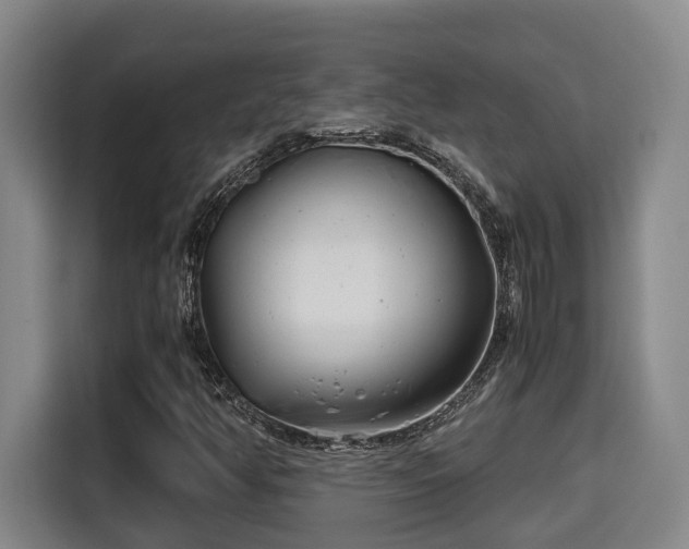 X0000115681350200911191045