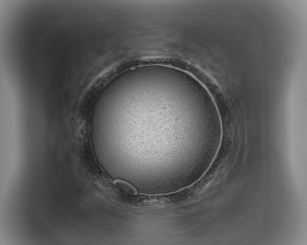 X0000115681351200911191045