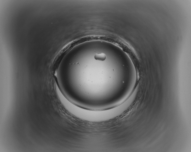 X0000115681352200911191045