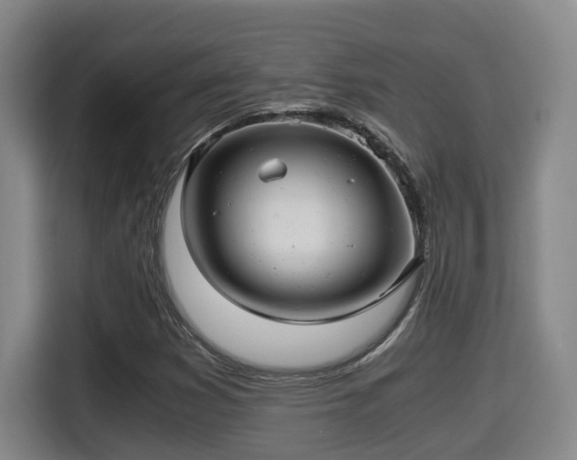 X0000115681353200911191045