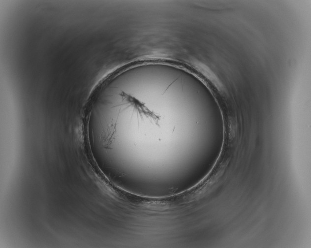 X0000115681356200911191045