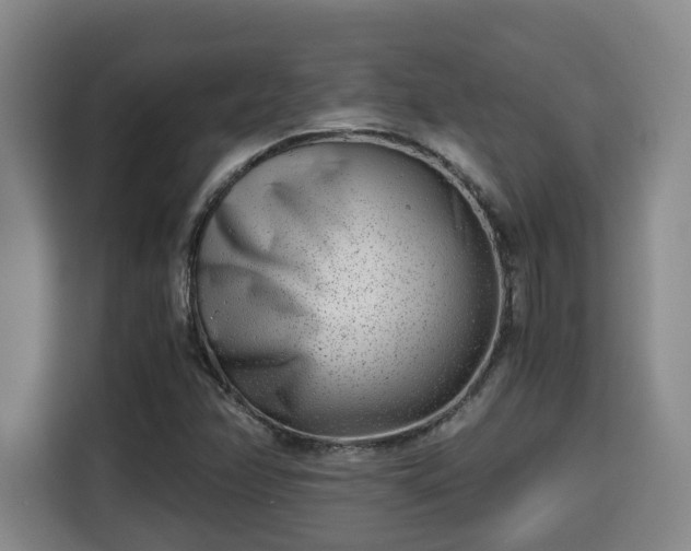 X0000115681358200911191045