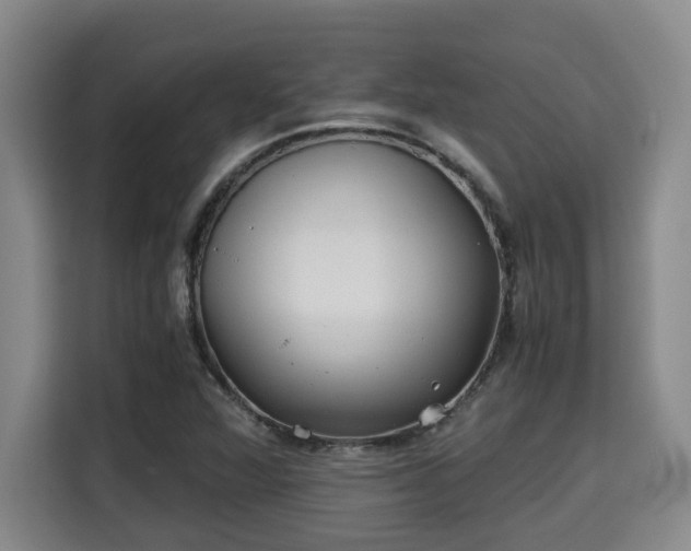 X0000115681360200911191045