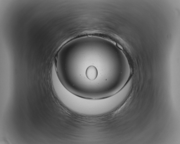 X0000115681361200911191045