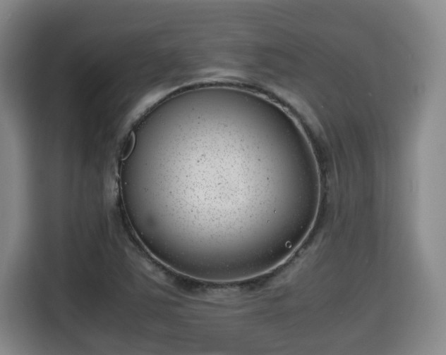 X0000115681363200911191045