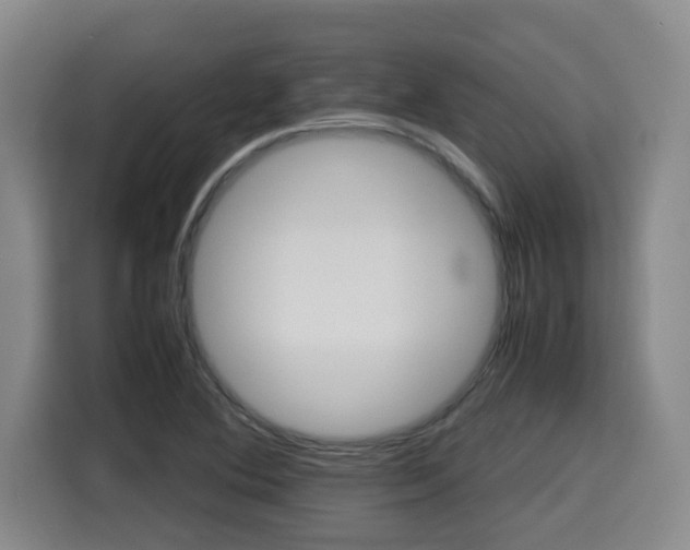 X0000115681364200911191045