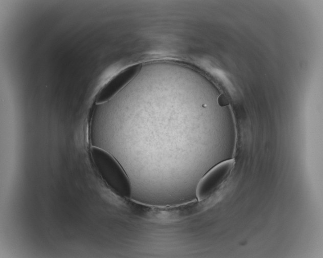 X0000115681365200911191045