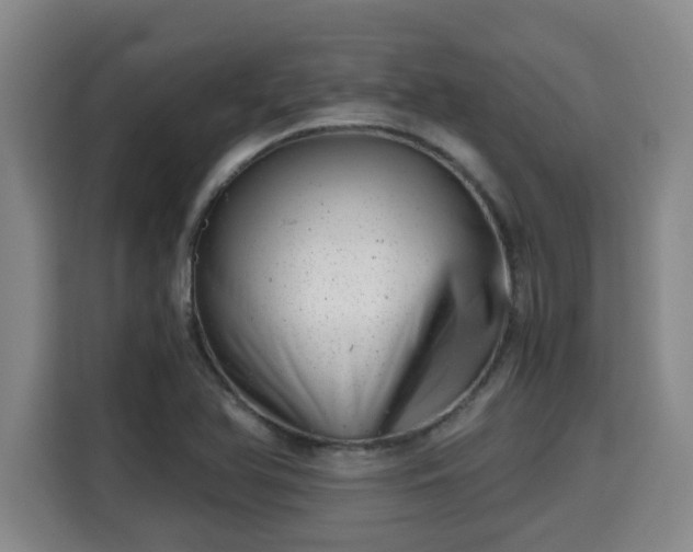 X0000115681366200911191045