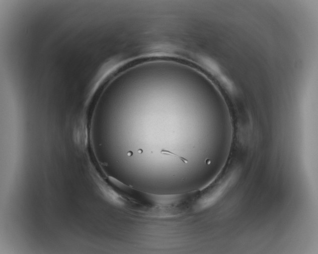 X0000115681368200911191045