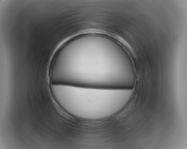 X0000115681372200911191045