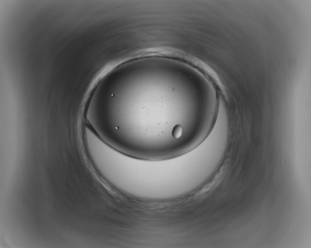 X0000115681373200911191045