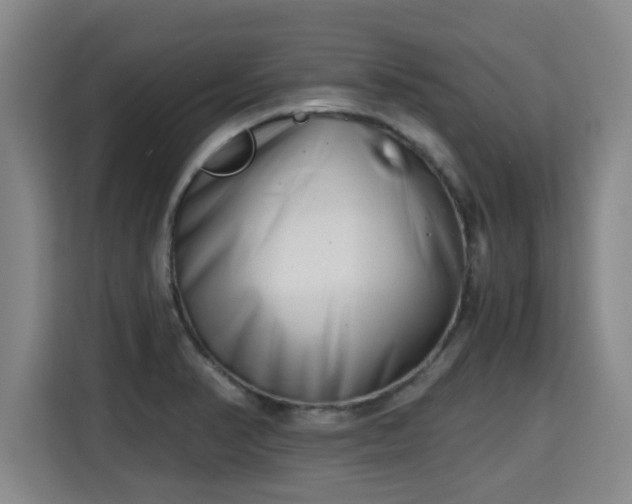 X0000115681374200911191045