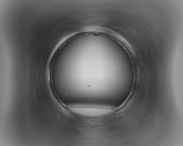 X0000115681376200911191045