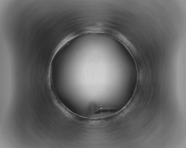 X0000115681378200911191045