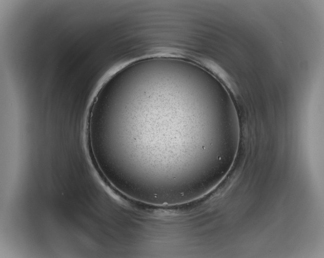 X0000115681379200911191045