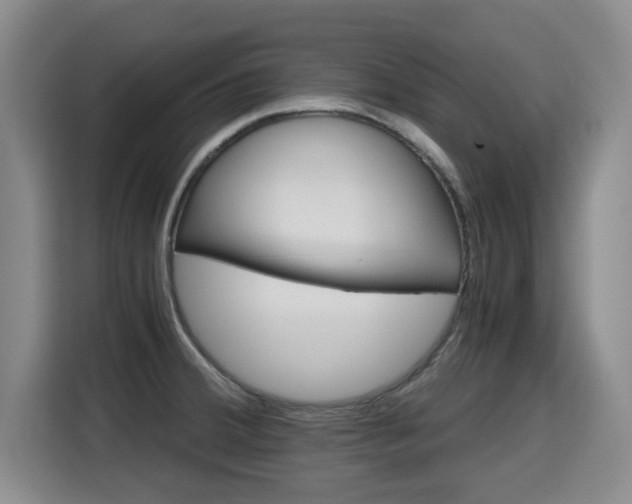 X0000115681380200911191045