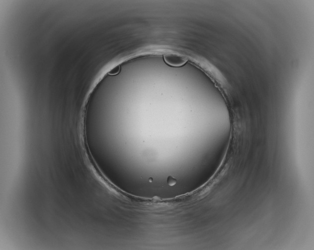 X0000115681382200911191045