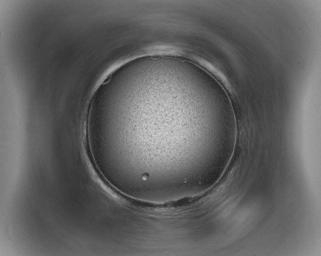 X0000115681383200911191045