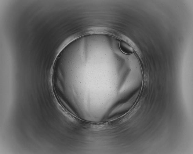 X0000115681386200911191045