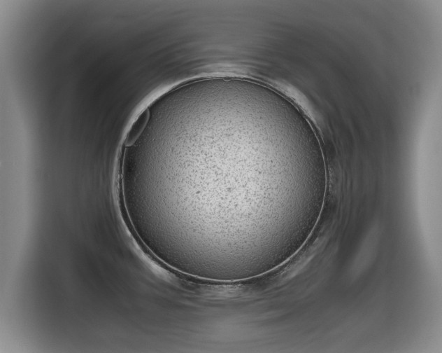 X0000115681387200911191045