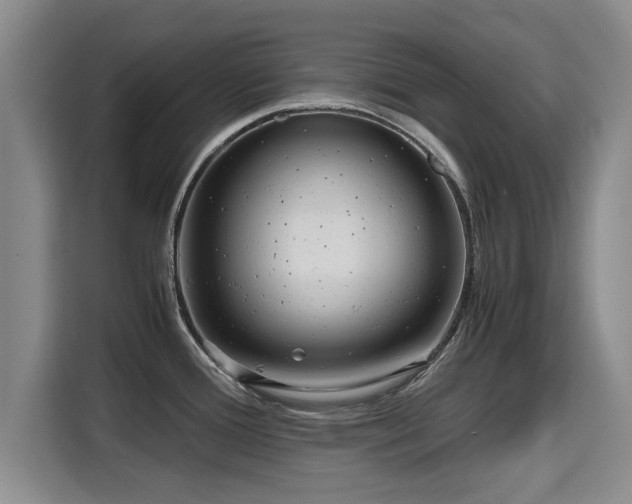 X0000115681388200911191045