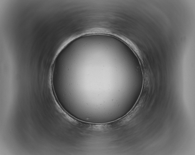 X0000115681390200911191045