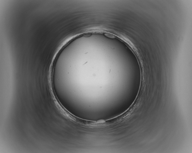 X0000115681392200911191045