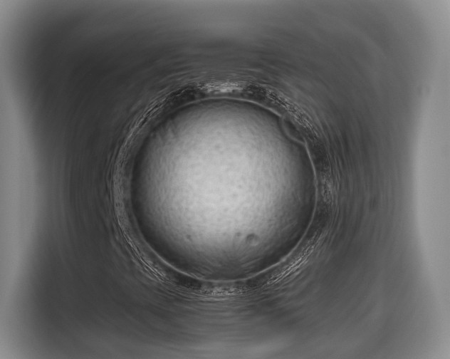 X0000115681393200911191044