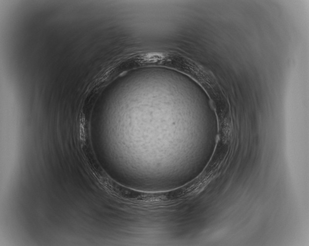 X0000115681394200911191044