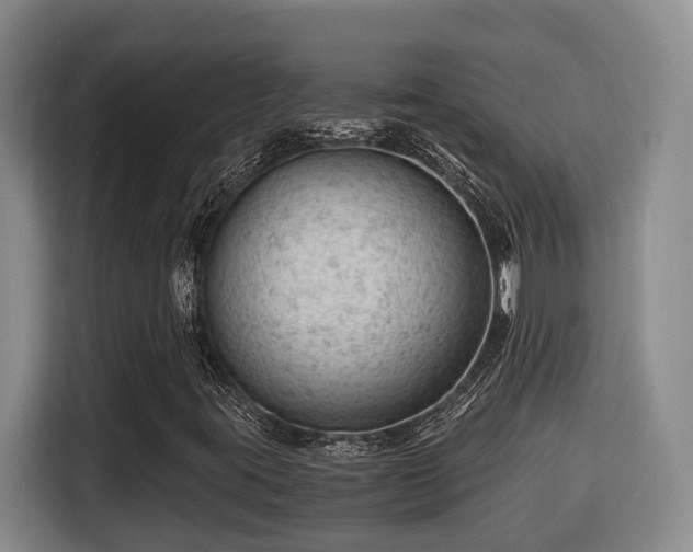 X0000115681395200911191044