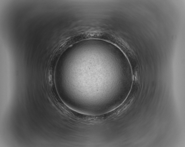 X0000115681396200911191044