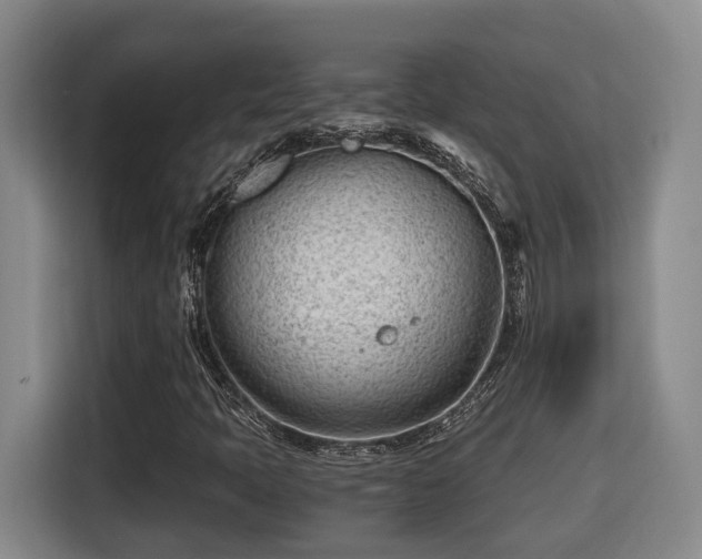 X0000115681397200911191044