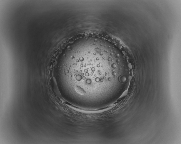 X0000115681399200911191044