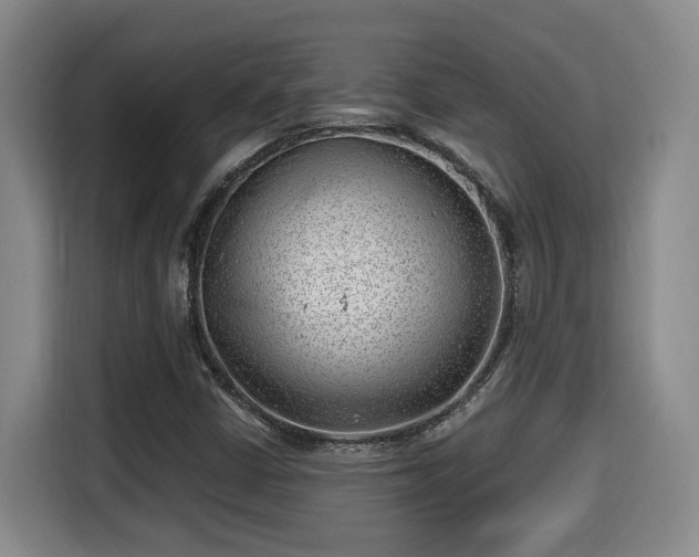 X0000115681402200911191044