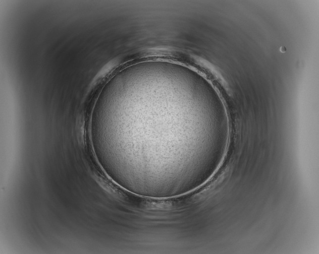 X0000115681403200911191044