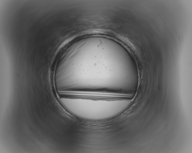 X0000115681404200911191044