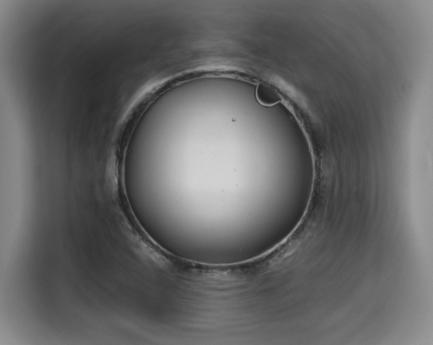 X0000115681408200911191044