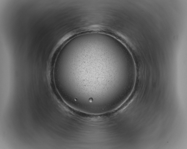 X0000115681410200911191044