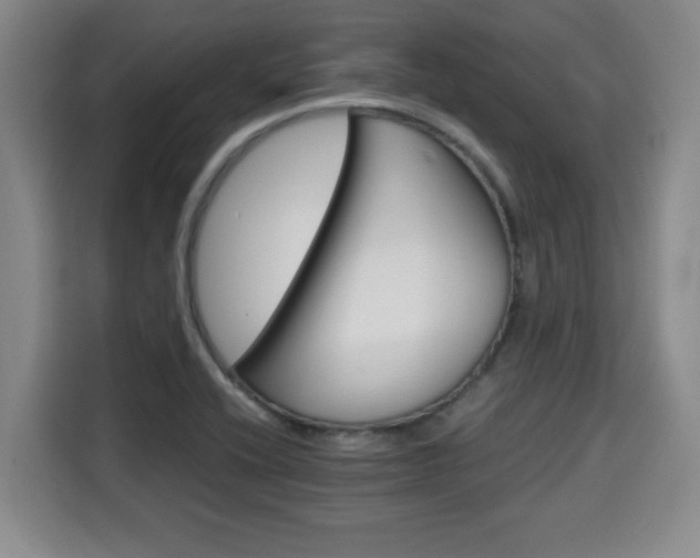 X0000115681416200911191044