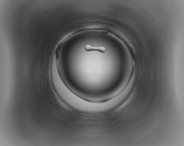 X0000115681417200911191044