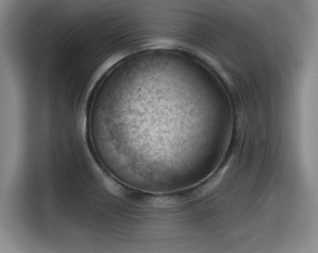 X0000115681418200911191044