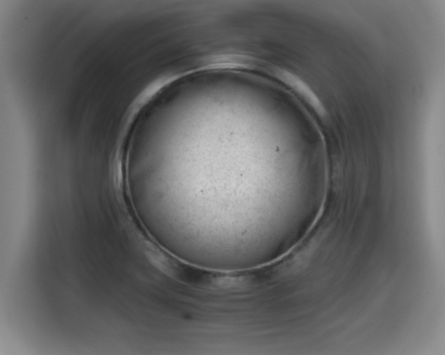 X0000115681419200911191044