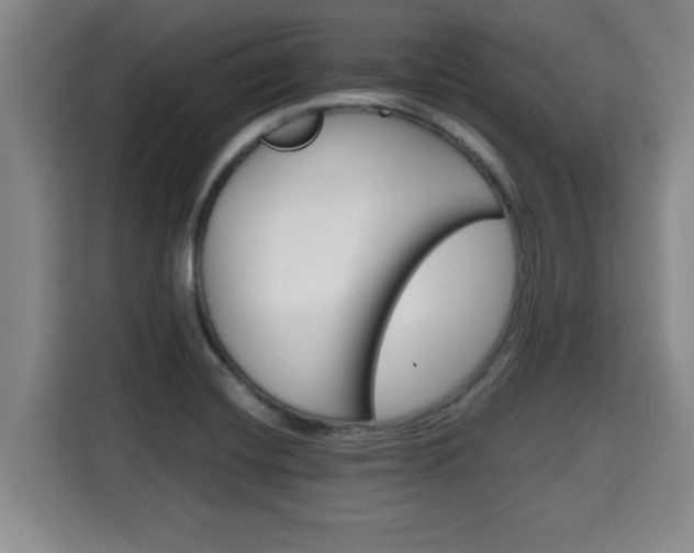 X0000115681420200911191044