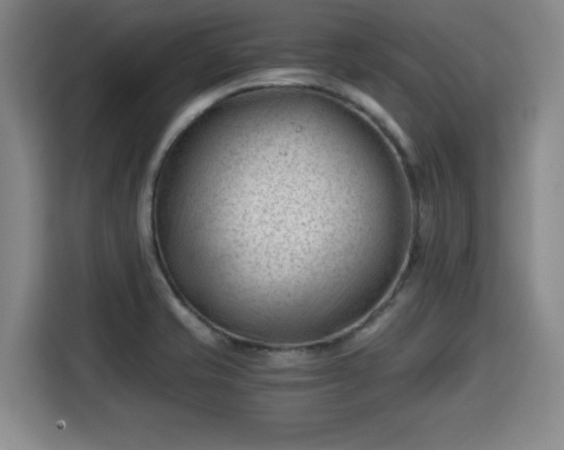 X0000115681421200911191044