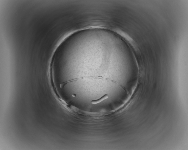 X0000115681423200911191045