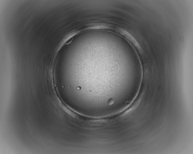 X0000115681425200911191045