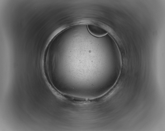 X0000115681426200911191045