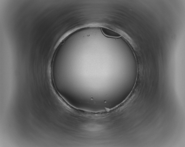 X0000115681428200911191045